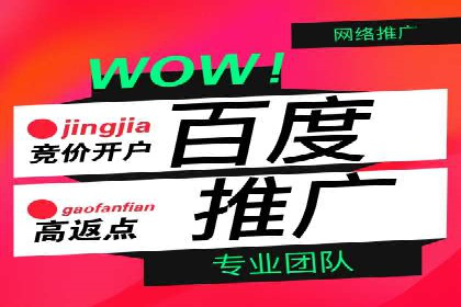 SEM竞价优化策略：成功案例解析